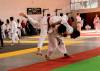 judo-jujitsu
